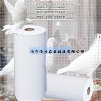 雞糞傳送帶PP雞糞帶